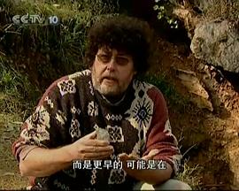 中国人从哪里来(2011)海报