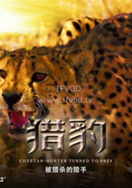 猎豹·被捕杀的猎手(2020)海报