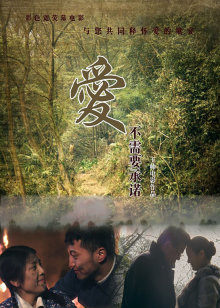 爱不需要承诺(2011)海报
