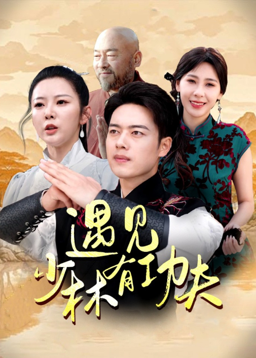 遇见少林有功夫海报