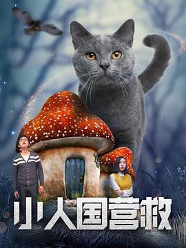 小人国营救(2019)海报