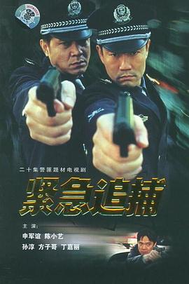 紧急追捕(2001)海报