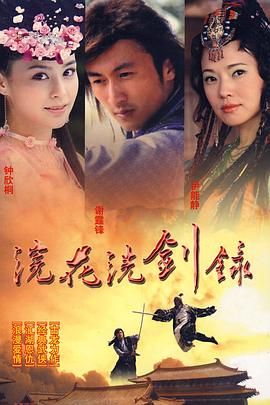 浣花洗剑录 2008(2008)海报