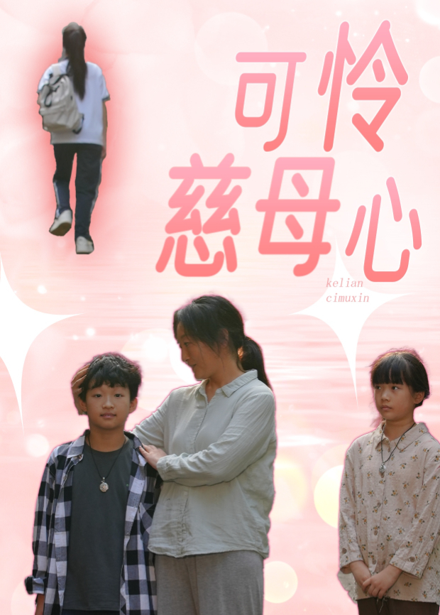 可怜慈母心海报