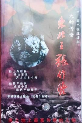 大帅传奇(1994)海报
