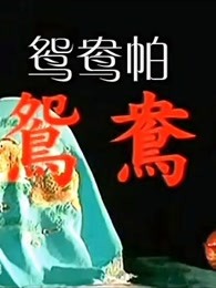 鸳鸯帕(1966)海报