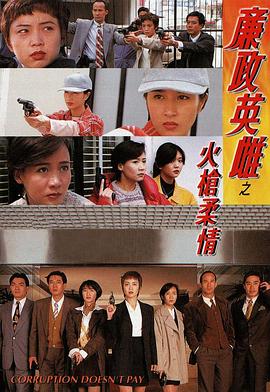 廉政英雌之火枪柔情国语(1995)海报