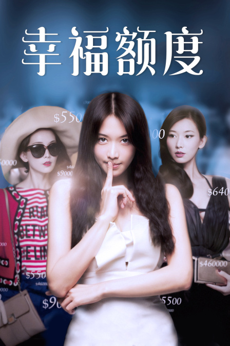 幸福额度(2017)海报
