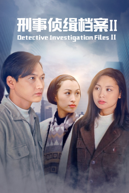 刑事侦缉档案2(2010)海报