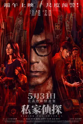 私家侦探 粤语(2025)海报