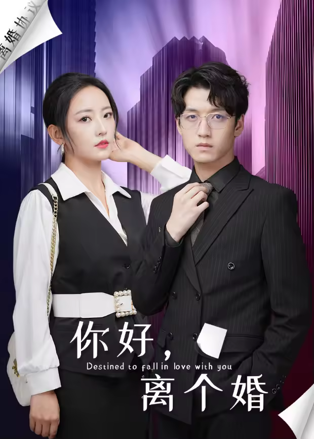 你好,离个婚海报