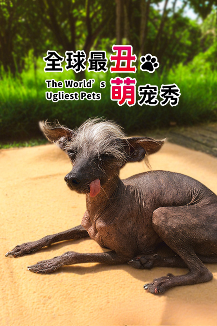 全球最丑萌宠秀(2025)海报