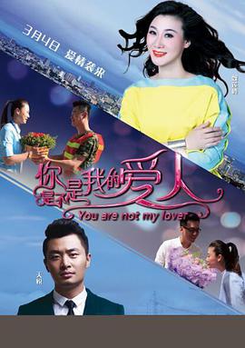 你是不是我的爱人(2016)海报