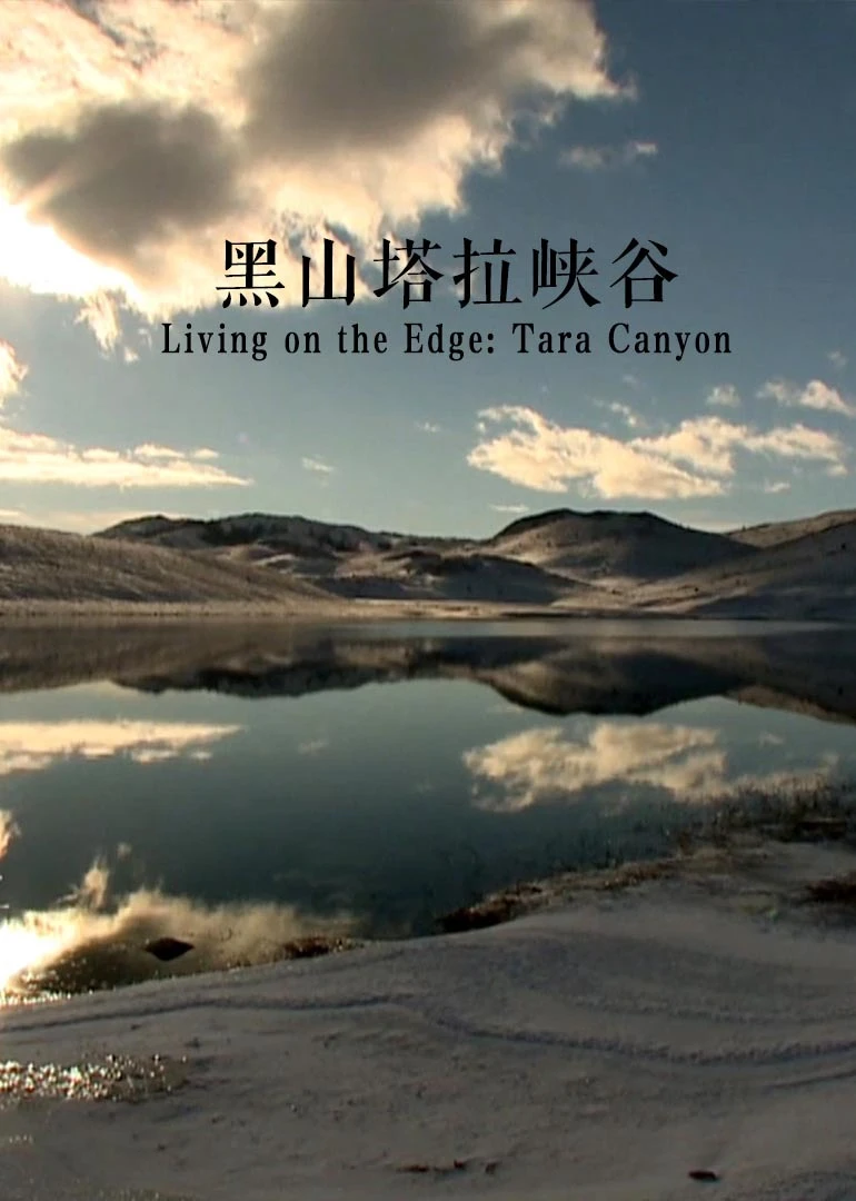 黑山塔拉峡谷(2016)海报