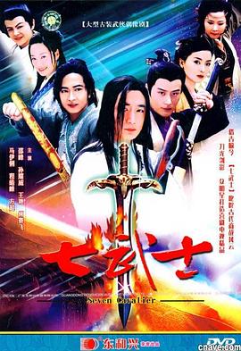 七武士2004(2004)海报