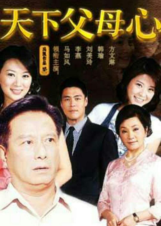 天下父母心(2009)海报