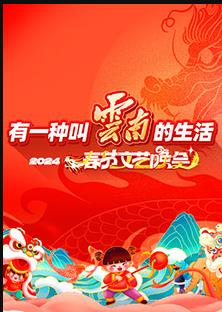 202云南省春节文艺晚会(2024)海报