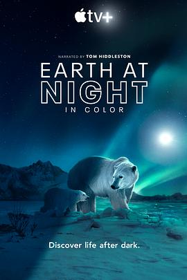 夜色中的地球第二季(2021)海报