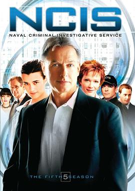 海军罪案调查处第五季(2003)海报