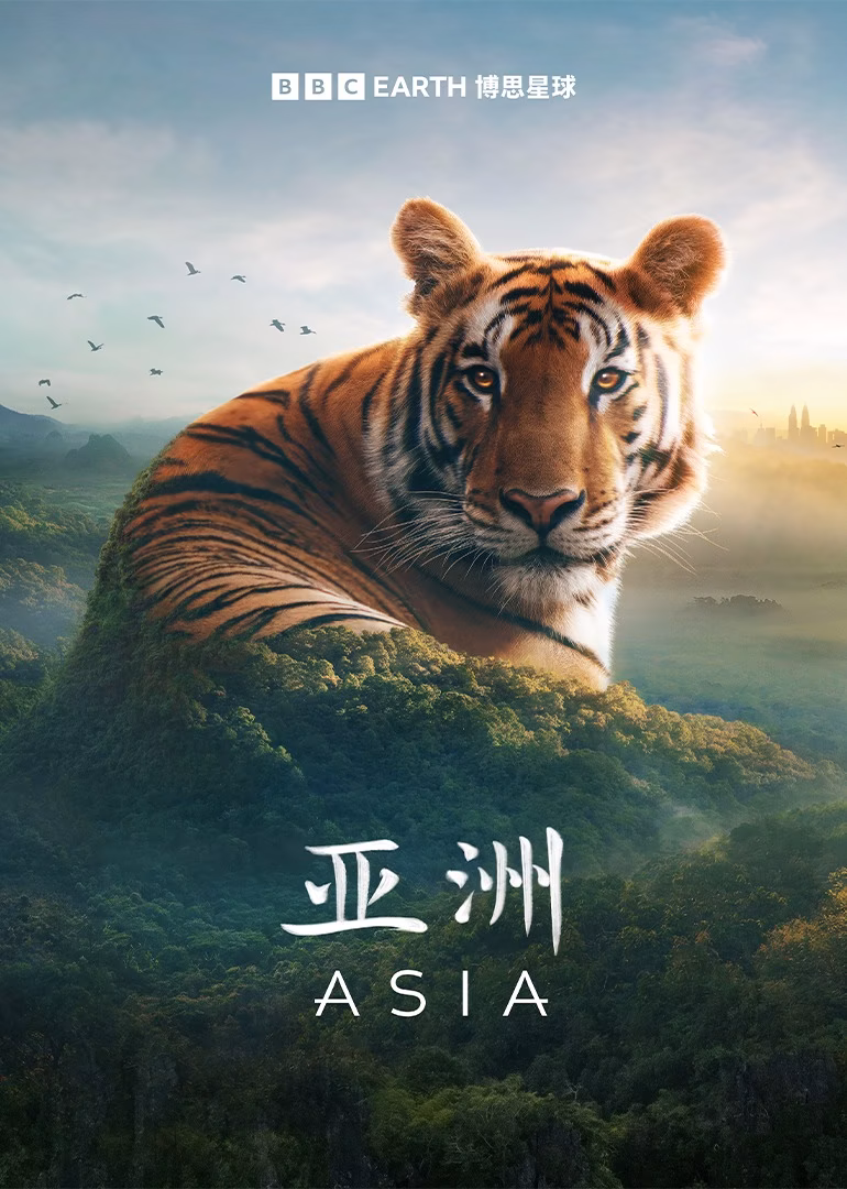 亚洲英语(2024)海报