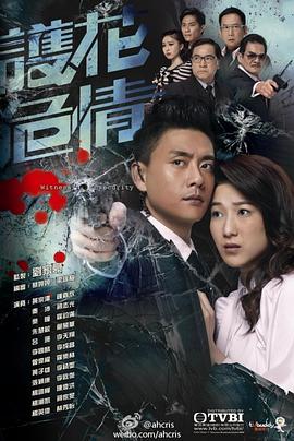 护花危情国语(2012)海报