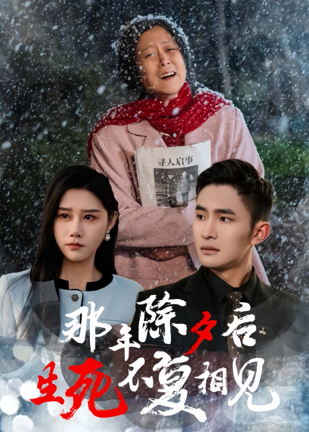 那年除夕后,生死不复相见海报