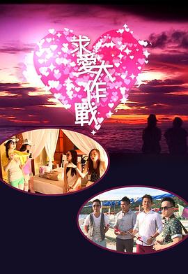 求爱大作战2013(2013)海报
