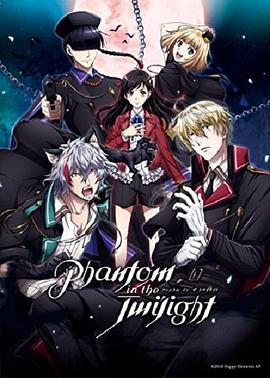 暮光幻影 国语版(2018)海报