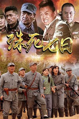 殊死七日(2015)海报