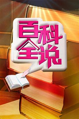 百科全说(2009)海报