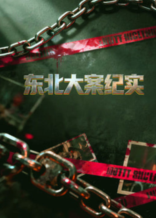 东北大案纪实(2010)海报