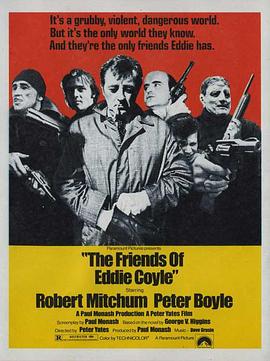线人1973(1973)海报