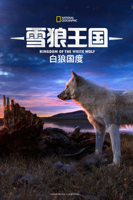 雪狼王国(2022)海报