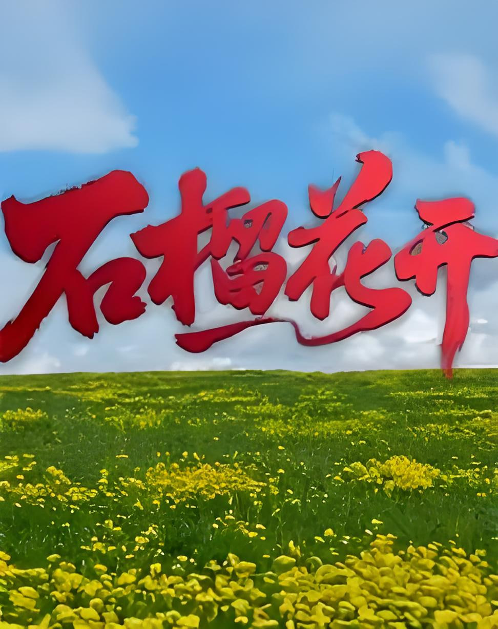 石榴花开(2026)海报
