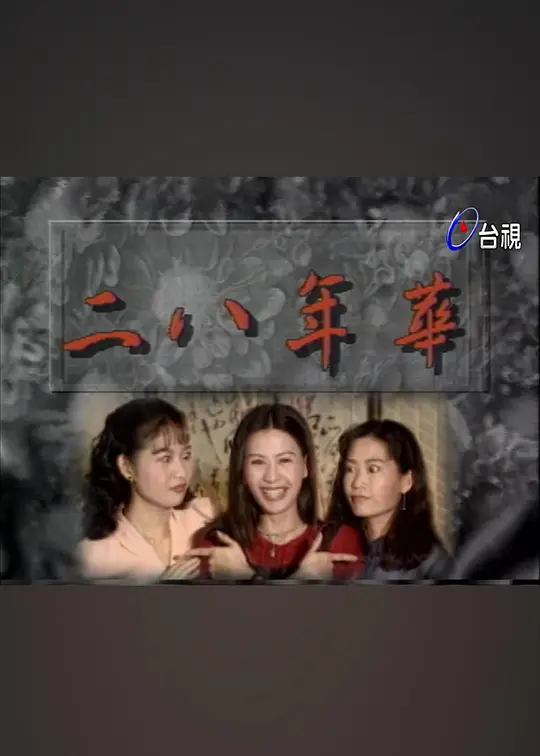 二八年华(1994)海报
