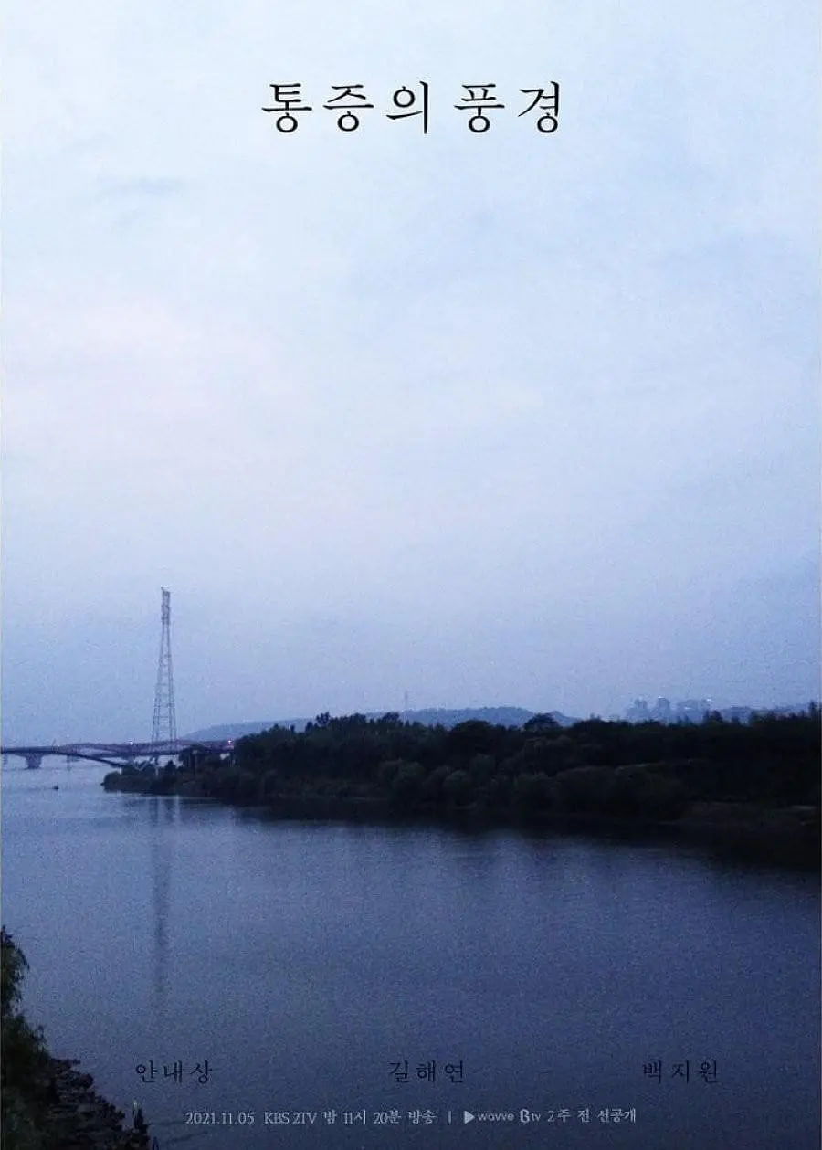 疼痛的风景(2021)海报