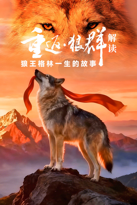 《重返狼群》解读:狼王格林一生的故事(2026)海报