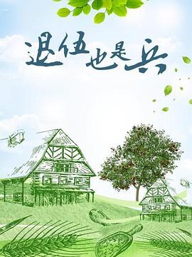 退伍也是兵(2016)海报