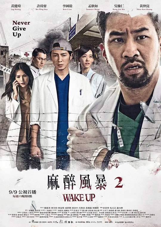 麻醉风暴2(2017)海报