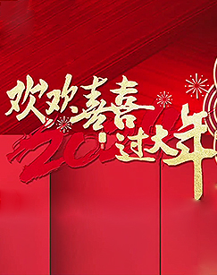 欢欢喜喜过大年(2024)海报