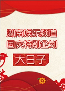 大日子2011(2010)海报