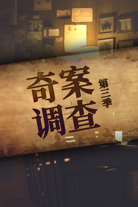 奇案调查第三季(2025)海报