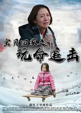 宝贝回家之玩命追击(2024)海报