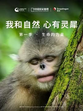 《我和自然 心有灵犀》第一季 - 生命的力量(2020)海报