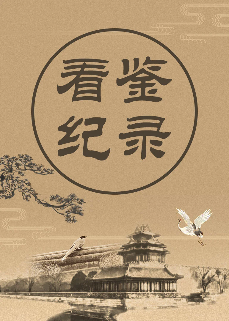 看鉴纪录(2019)海报