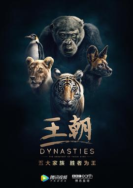 王朝第一季(2018)海报