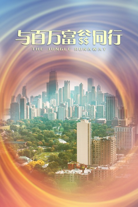与百万富翁同行(2014)海报