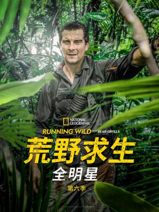 荒野求生全明星 第六季(2014)海报