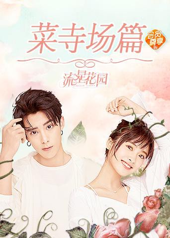 星花园菜寺场篇(2018)海报