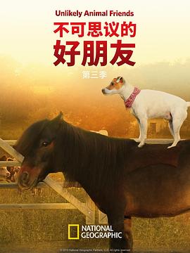 不可思议的好朋友第三季(2012)海报